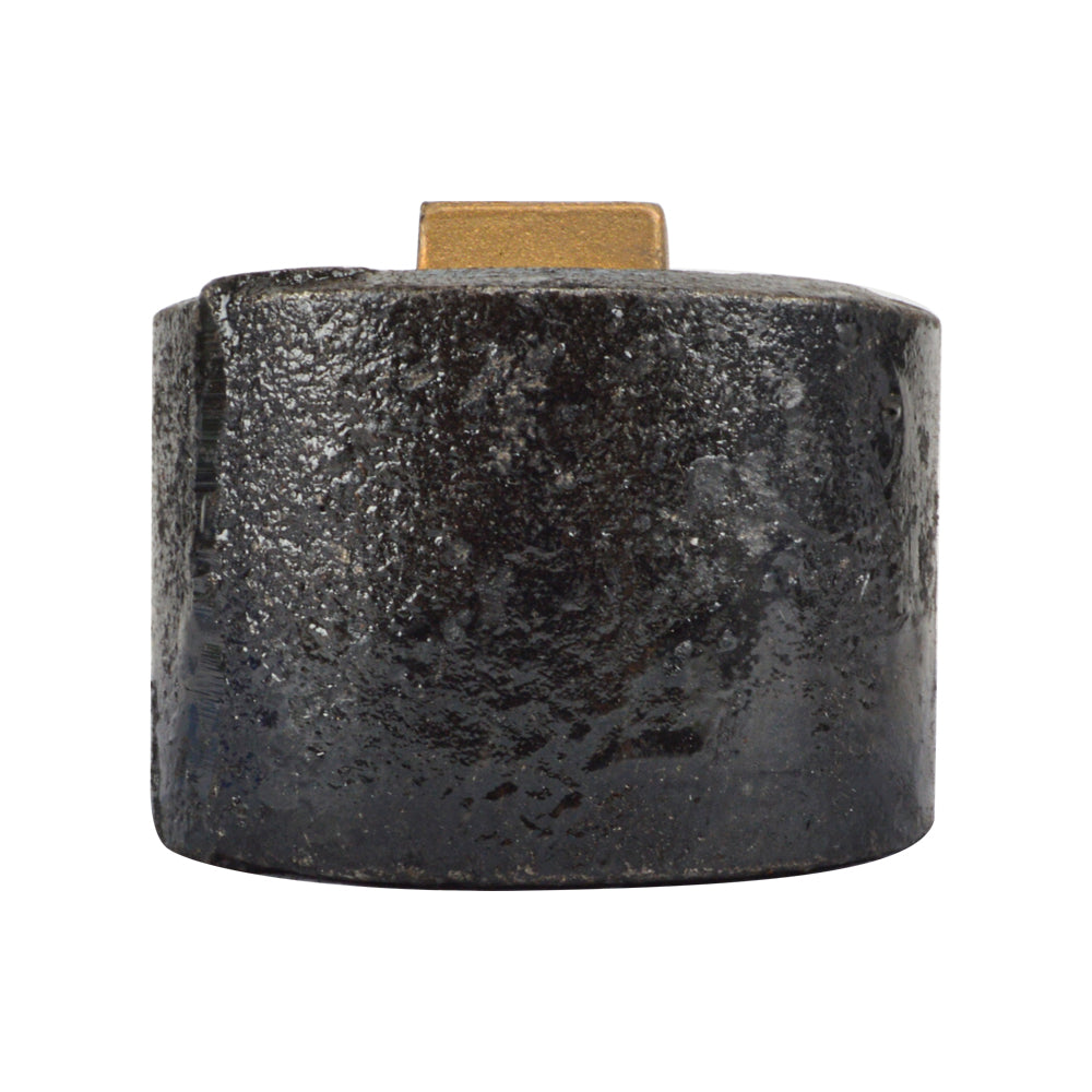 Plain End Cast Iron Cleanout   with Southern Code Brass Plug